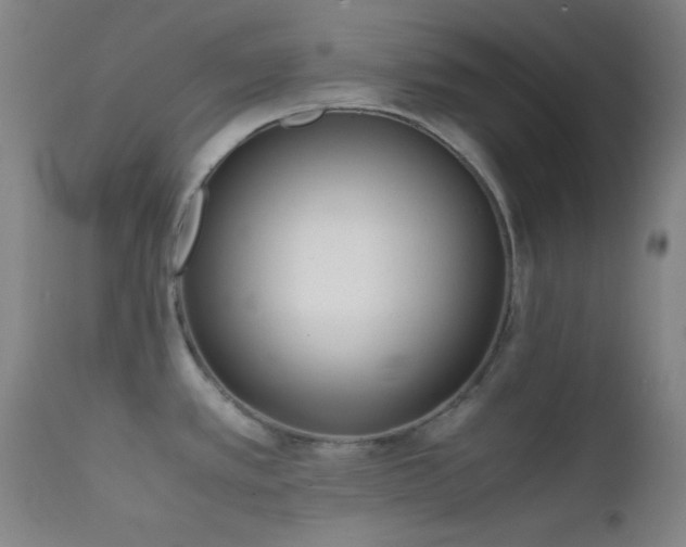 X0000111501389200907141302