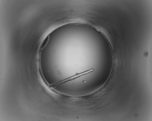 X0000111501391200907141302