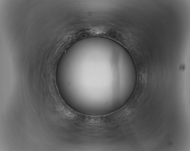 X0000111501393200907141301