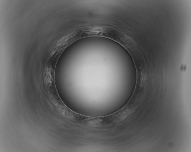 X0000111501394200907141301