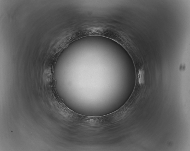 X0000111501395200907141301
