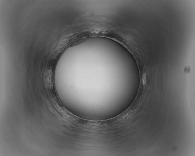 X0000111501396200907141301