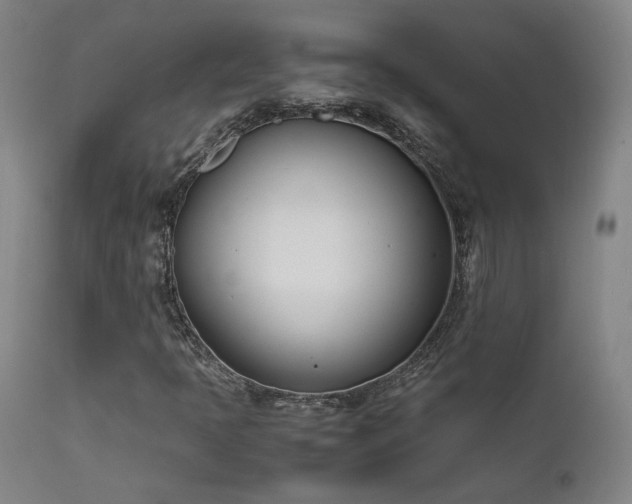 X0000111501397200907141301