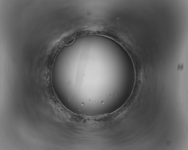 X0000111501398200907141301