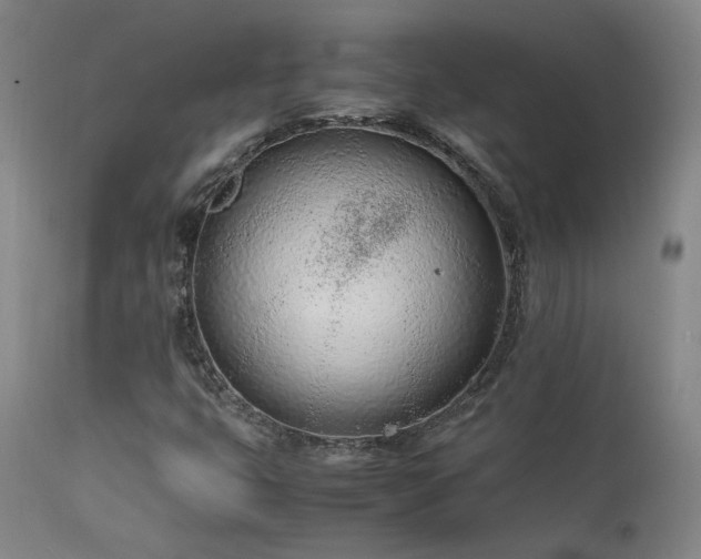 X0000111501399200907141301