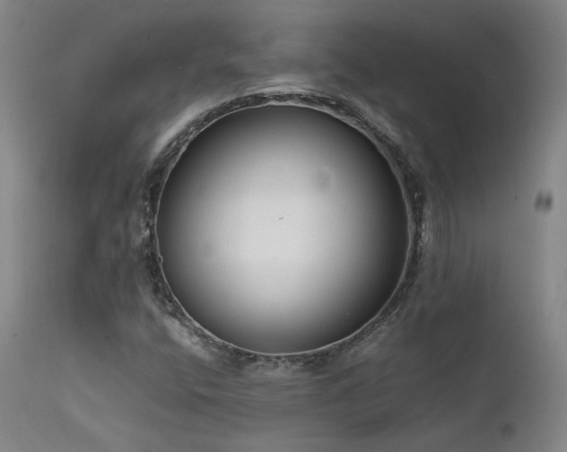 X0000111501400200907141301