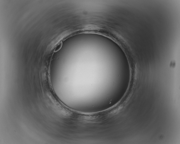 X0000111501401200907141301
