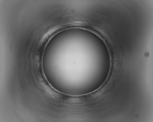 X0000111501402200907141301