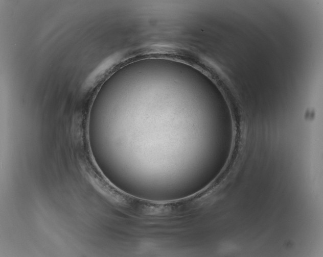 X0000111501403200907141301