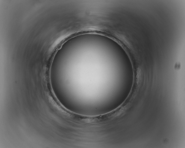 X0000111501404200907141301