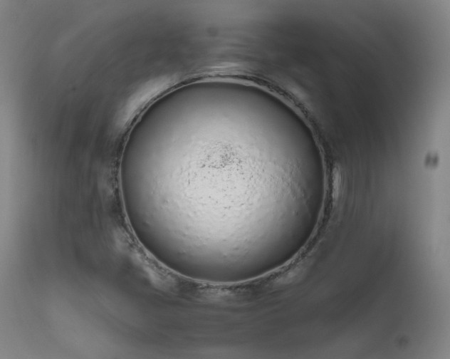 X0000111501405200907141301