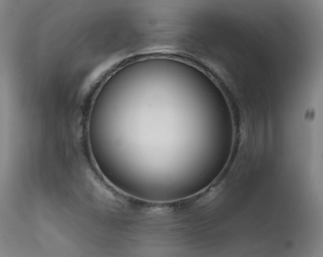 X0000111501406200907141302