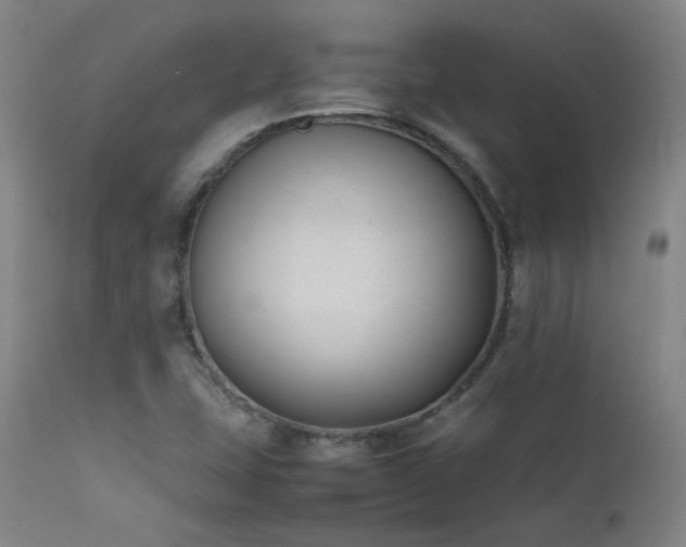 X0000111501407200907141302