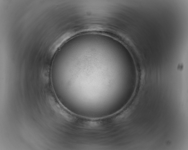 X0000111501409200907141302