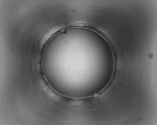 X0000111501410200907141302