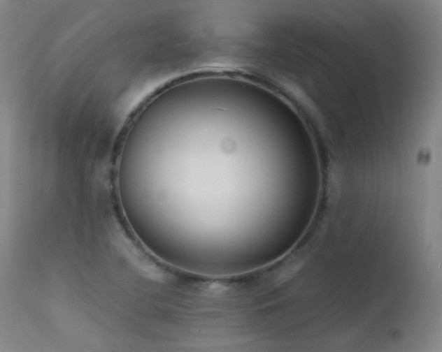X0000111501412200907141302