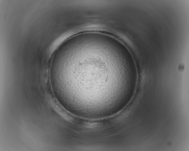 X0000111501413200907141302