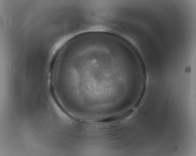 X0000111501414200907141302