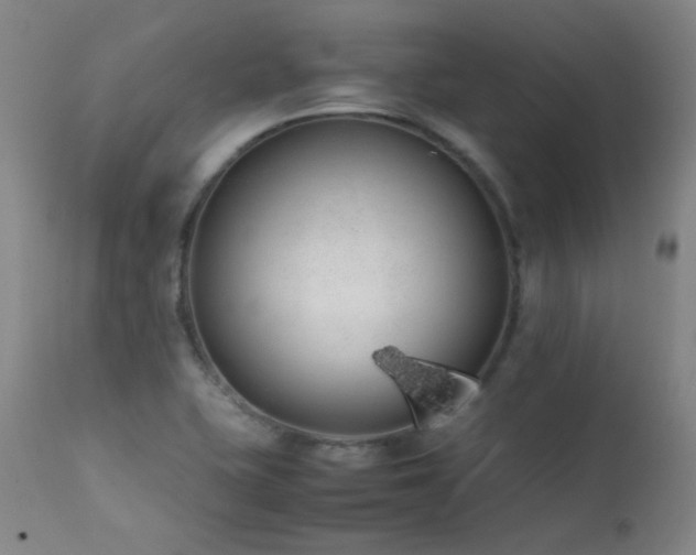 X0000111501415200907141302