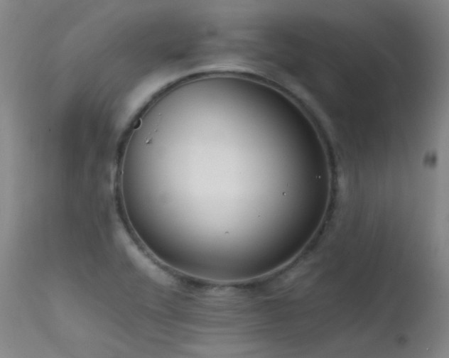 X0000111501416200907141302