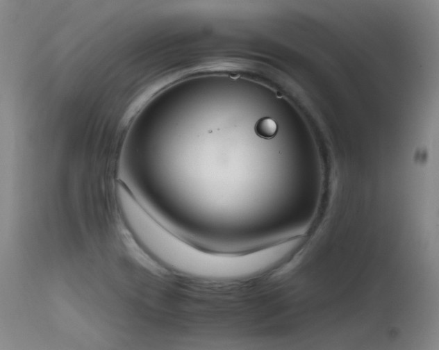 X0000111501417200907141302