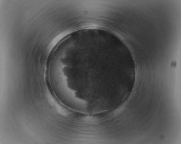 X0000111501418200907141302