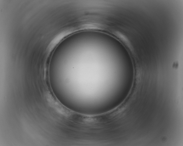 X0000111501419200907141302