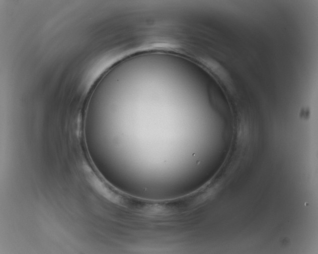 X0000111501420200907141302