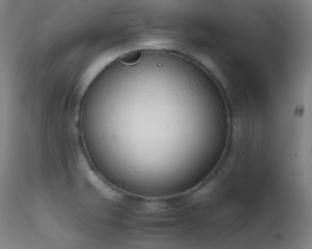 X0000111501421200907141302