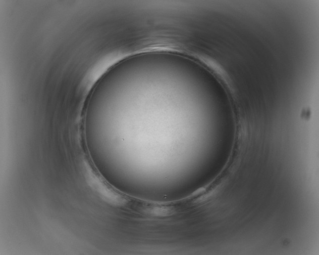X0000111501423200907141302