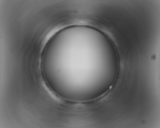 X0000111501424200907141302