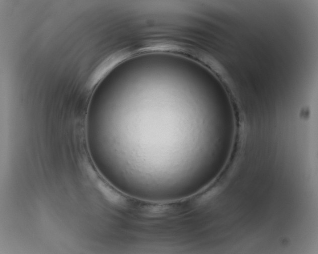 X0000111501425200907141302