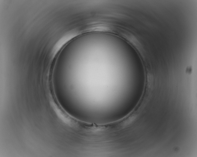 X0000111501426200907141302