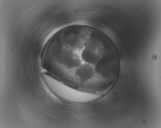 X0000111501428200907141302