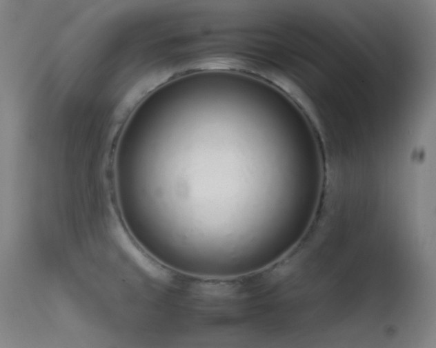 X0000111501429200907141302