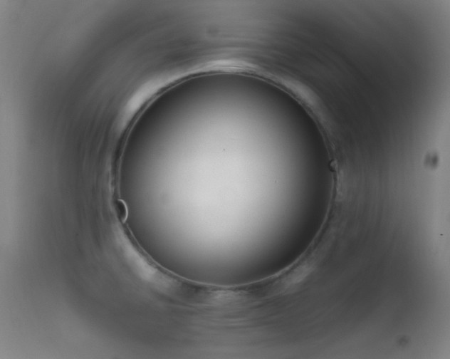 X0000111501430200907141302