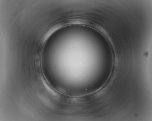 X0000111501433200907141302