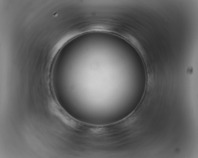 X0000111501435200907141302