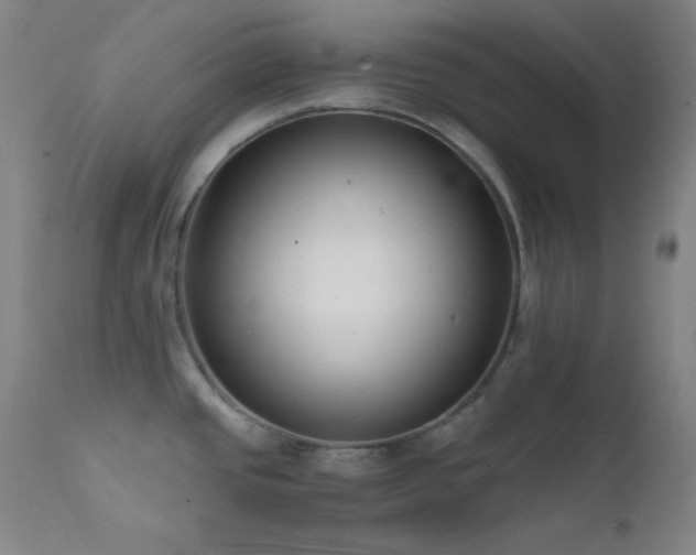 X0000111501437200907141302