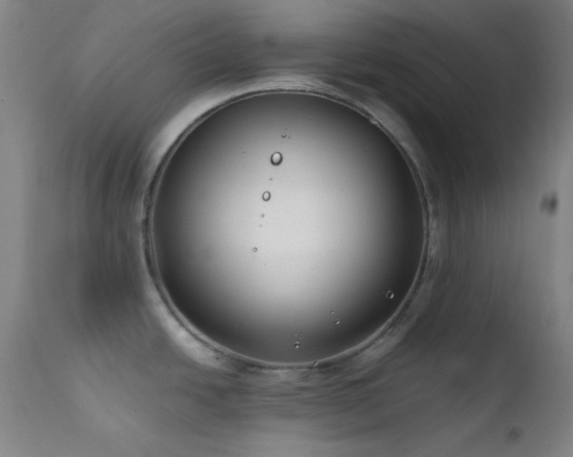 X0000111501438200907141302