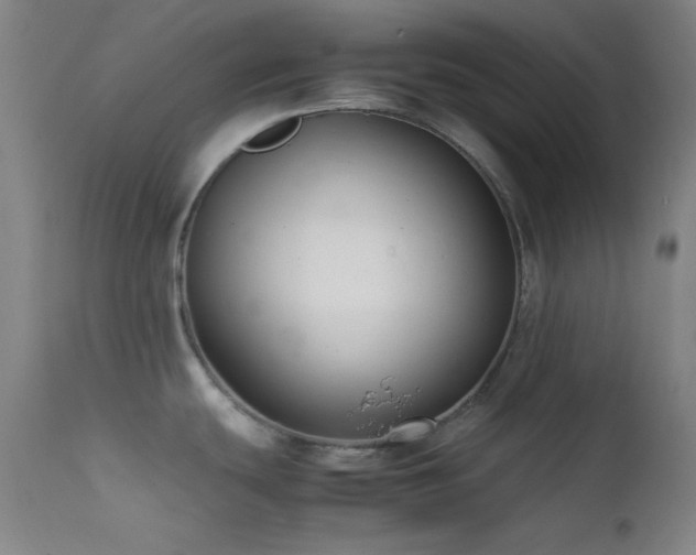 X0000111501439200907141302