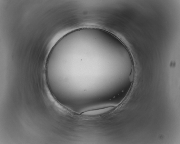 X0000111501440200907141302