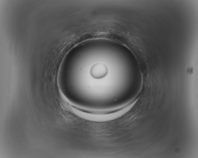 X0000111501441200907141301
