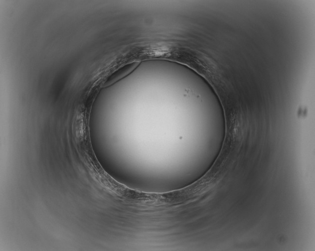 X0000111501442200907141301