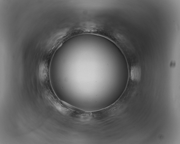 X0000111501444200907141301