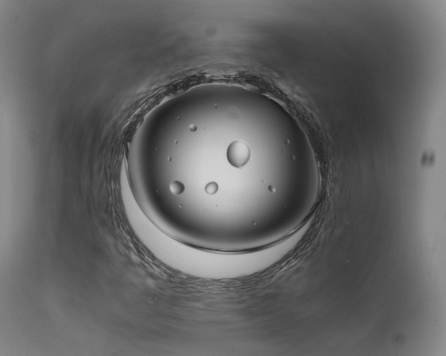 X0000111501445200907141301