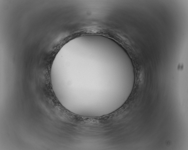 X0000111501446200907141301