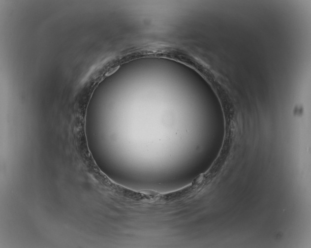 X0000111501447200907141301
