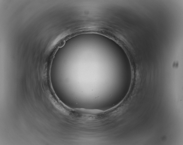 X0000111501450200907141301