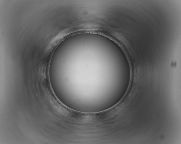X0000111501451200907141301